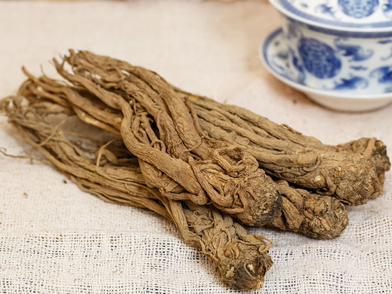 Angelica Sinensis